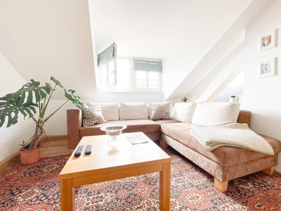 Schoene Ferienwohnung Mit Blick Ueber Stadtwald Lipsia Esterno foto